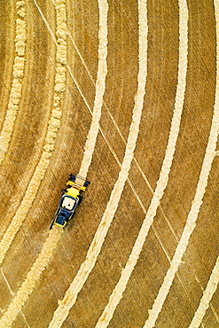 Aerial view directly above a combine collecting lines of grain, Beiseker, Alberta, Canada