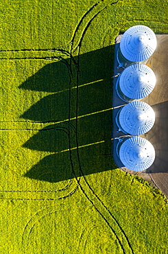 Directly above large metal grain bins in a green field of canola with long dramatic shadows across the field, East of Calgary, Alberta, Canada