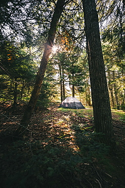 A Nightcap tent set up in the opening of a forest with a sunburst, Cobscook State Park, Maine, United States of America