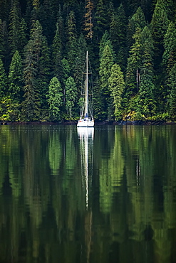 Sailboat in an estuary, Great Bear Rainforest, Hartley Bay, British Columbia, Canada