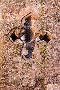 Cruciform window in the Tomb of Adam in the Northern Group of the Rock-Hewn Churches, Lalibela, Amhara Region, Ethiopia