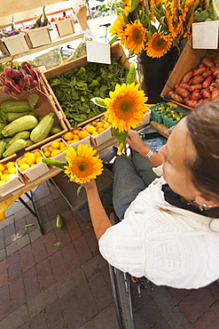 Woman with spinal cord injury sitting in a wheelchair shopping at outdoor market for sun flowers