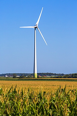 Wind turbines on farmland with a corn field in the foreground; Saint Remi, Quebec, Canada