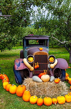 Pumpkin display with old vehicle decorating a yard; Canada