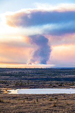 A plume of smoke from the Oregon Lakes wildfire rises high into the sky near Delta Junction in 2019; Alaska, United States of America