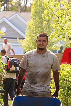 Landscaper carrying mulch to a garden in wheelbarrow