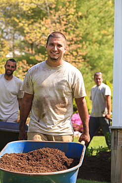 Landscapers carrying mulch to a garden in wheelbarrow