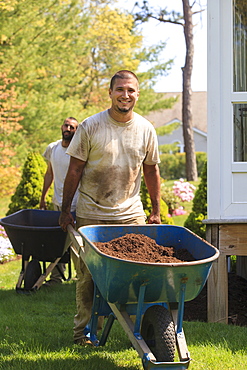 Landscapers carrying mulch to a garden in wheelbarrow