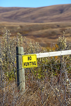 A yellow 'No Hunting' sign on a wooden fence post in a rural area; Alberta, Canada