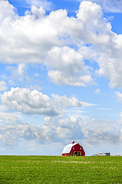 A red barn sits on a green field of farmland under a big blue sky with cloud; Alberta, Canada