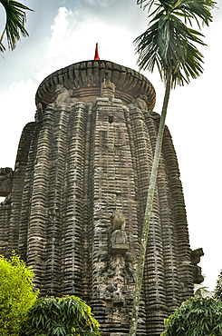 Chitrakarini Temple, Lingaraja Temple Complex; Bhubaneswar, Odisha, Indi