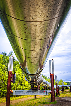 Trans-Alaska Pipeline, Interior Alaska in summertime; Fairbanks, Alaska, United States of America