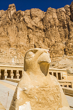 Falcon sculpture, Hatshepsut Mortuary Temple (Deir el-Bahri), UNESCO World Heritage Site; Luxor, Egypt