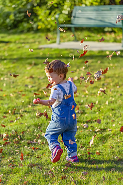 Toddler girl plays with falling autumn leaves in a park; North Vancouver, British Columbia, Canada