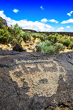 Petroglyphs on volcanic rock with sagebrush in the background, Piedras Marcadas Canyon, Petroglyph National Monument on a sunny, spring afternoon; Albuquerque, New Mexico, United States of America