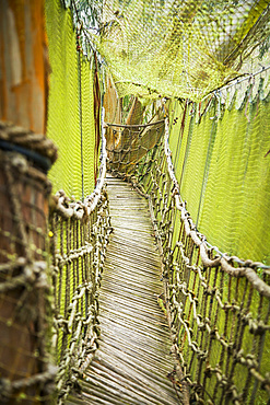 Rope and wood bridge with netting in Ecuadorian forest tree fort; Calicali, Ecuador