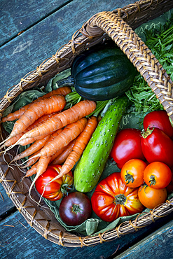 Basket of a variety of fresh produce; Mayne Island, Gulf Islands, British Columbia, Canada