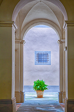 Vaulted arched doorway with a terracotta planter and green leafed plant sitting on the tiled walkway in Cortona; Arezzo, Tuscany, Italy