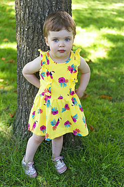 Portrait of a toddler girl standing against a tree trunk; British Columbia, Canada