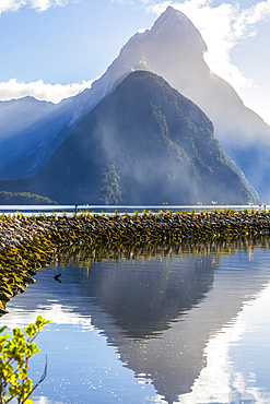 Mitre Peak reflects into the waters of Milford Sound, Fiordland National Park; Southland, New Zealand