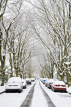 Winter, West Point Grey, Vancouver, British Columbia, Canada