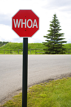 Western Stop Sign, Spruce Meadows, Calgary, Alberta, Canada