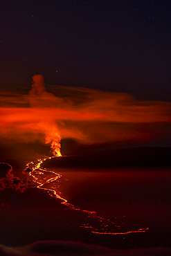 Fiery Lava flow of the 2022 eruption of Mauna Loa Volcano (Moku‘āweoweo, the world's largest active volcano) on the Big Island of Hawaii, Island of Hawaii, Hawaii, United States of America