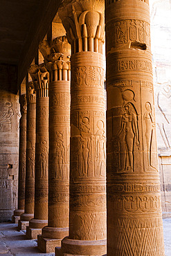 Close-up of a row of columns with ancient Egyptian Hieroglyphic details at the Philae Temple, Aswan, Egypt, Africa