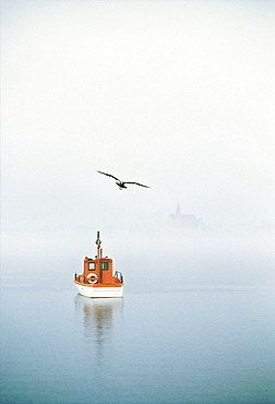 Seagull soaring over a boat at anchor on a foggy morning, Gaspe Peninsula, Quebec, Canada