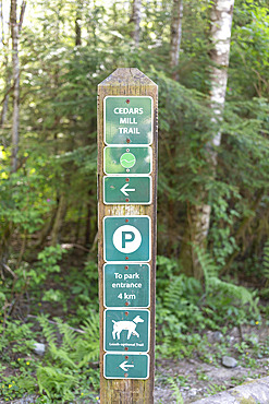 Icon, information sign post at Cedars Mill Trail in Lynn Valley Canyon, North Vancouver, British Columbia, Canada