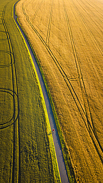 Man cycling up small road through fields near Duxford village, Cambridgeshire, England, United Kingdom