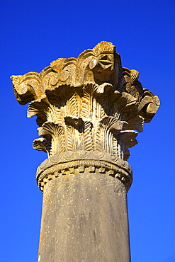 Excavated Roman City, Volubilis, UNESCO World Heritage Site, Morocco, North Africa, Africa