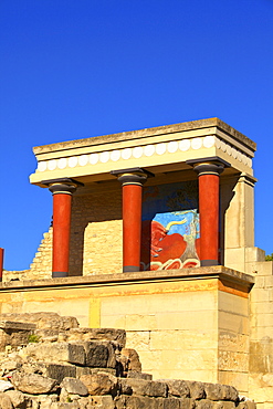 Charging Bull and Olive Tree Fresco, The Minoan Palace of Knossos, Knossos, Heraklion, Crete, Greek Islands, Greece, Europe