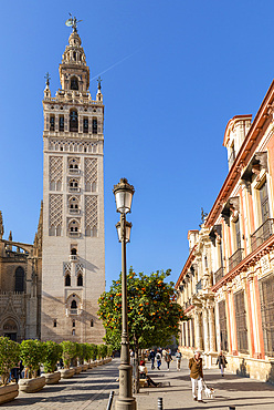 Seville Cathedral Exterior, UNESCO World Heritage Site, Seville, Andalusia, Spain, Europe