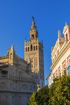 Seville Cathedral Exterior, UNESCO World Heritage Site, Seville, Andalusia, Spain, Europe