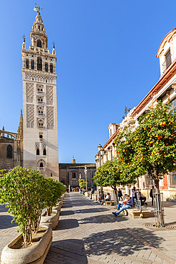 Seville Cathedral Exterior, UNESCO World Heritage Site, Seville, Andalusia, Spain, Europe