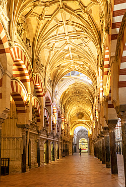 Interior of The Mosque (Mezquita) and Cathedral of Cordoba, UNESCO World Heritage Site, Cordoba, Andalusia, Spain, Europe