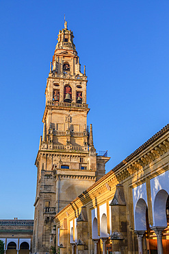 The Mosque (Mezquita) and Cathedral of Cordoba and Surrounding Gallery, UNESCO World Heritage Site, Cordoba, Andalusia, Spain, Europe