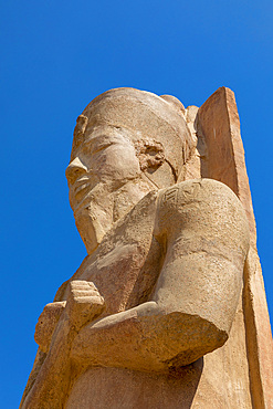 Statue at Luxor Temple, Luxor, Thebes, UNESCO World Heritage Site, Egypt, North Africa, Africa