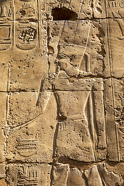 Stone Carvings at Luxor Temple, Luxor, Thebes, UNESCO World Heritage Site, Egypt, North Africa, Africa