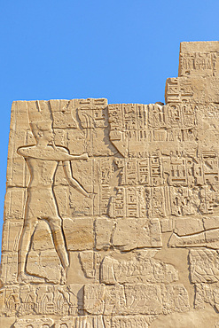 Stone Carvings and Hieroglyphs at Karnak Temple, Luxor, Thebes, UNESCO World Heritage Site, Egypt, North Africa, Africa