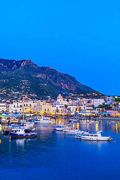 Marina de Forio, Forio Harbour and Beach, Forio, Island of Ischia, Campania, Italy, Europe