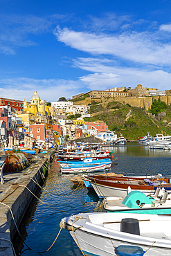 Marina di Corricella, Procida, Flegrean Islands, Campania, Italy, Europe