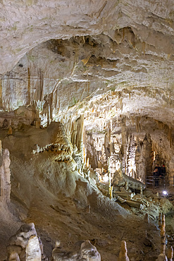 Postojna Caves, Postojna, Slovenia, Eastern Europe