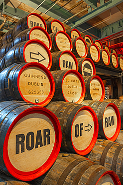 Beer Barrels, Guinness Storehouse, St. James's Gate Brewery, Dublin, Republic of Ireland, Europe