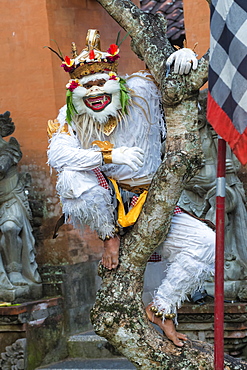 Balinese Kecak dancer, Ubud, Bali, Indonesia, Southeast Asia, Asia