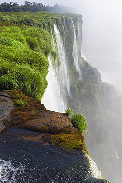 Iguazu Falls from Argentinian side, UNESCO World Heritage Site, on border of Argentina and Brazil, Argentina, South America