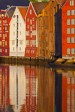 Old fishing warehouses reflected in the River Nidelva, Trondheim, Sor-Trondelag, Norway, Scandinavia, Europe