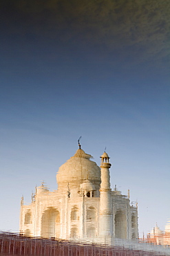 The Taj Mahal reflected in the Yamuna River, UNESCO World Heritage Site, Agra, Uttar Pradesh, India, Asia 