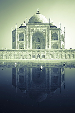 Taj Mahal, UNESCO World Heritage Site, Agra, Uttar Pradesh, India, Asia 